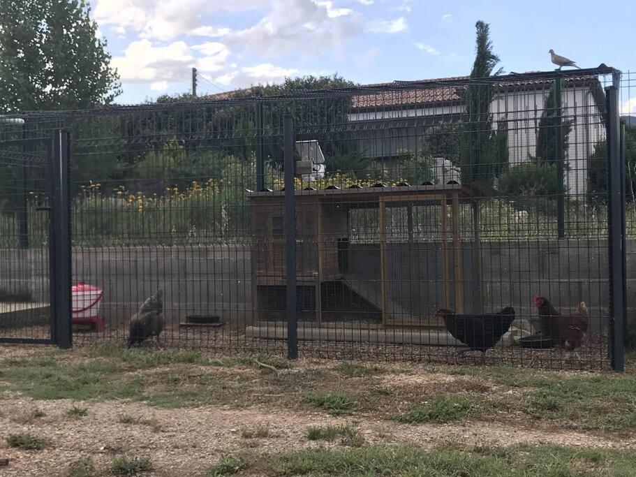 Cocon Aux Portes Des Cevennes Avec Piscine Moulès-et-Baucels Εξωτερικό φωτογραφία