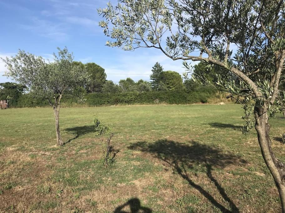 Cocon Aux Portes Des Cevennes Avec Piscine Moulès-et-Baucels Εξωτερικό φωτογραφία